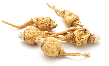 嗎咖烏龍茶-04